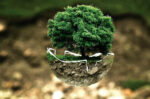 eco-conception