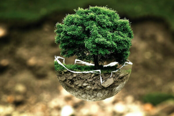 ecoconception